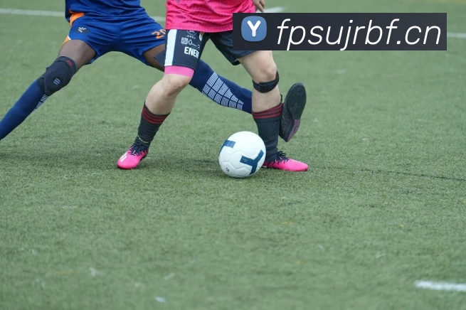 星空体育在线网站发展历程